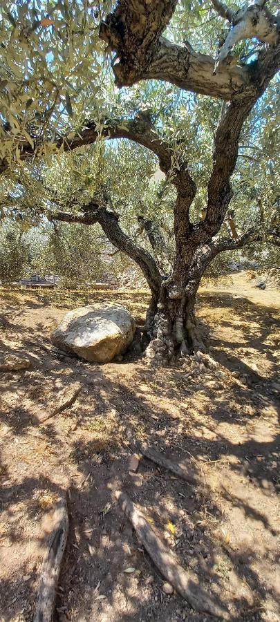 The Byzantine Wall House Isthmia Dış mekan fotoğraf